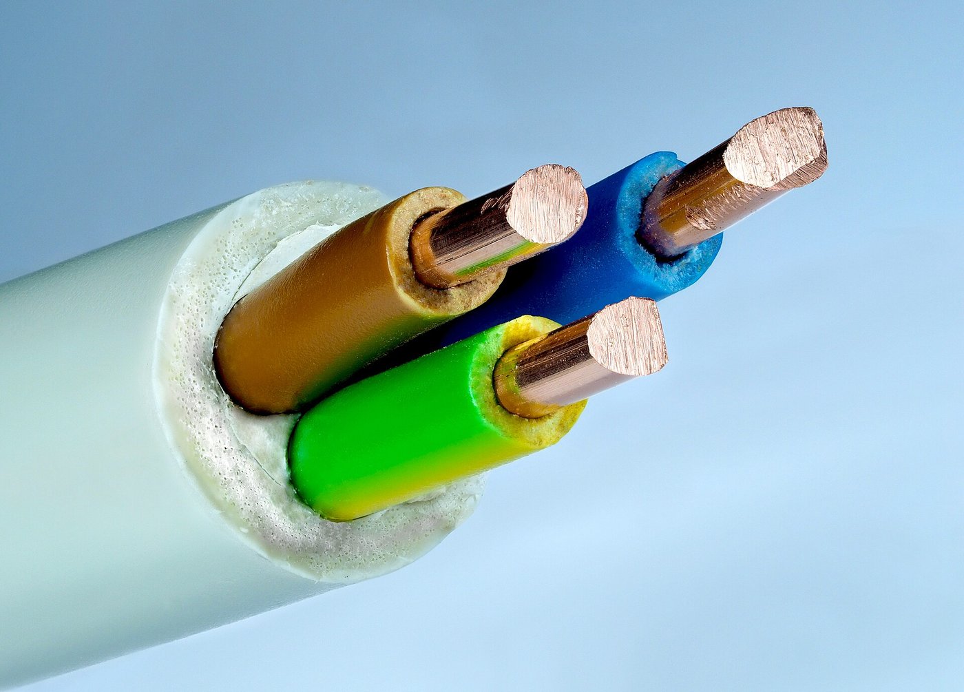 Copper conductors exposed in a cut electrical cable