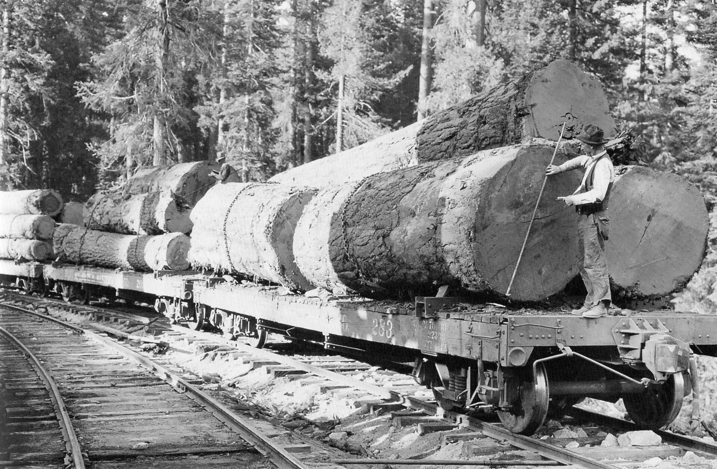 A scaler measuring logs on a landing