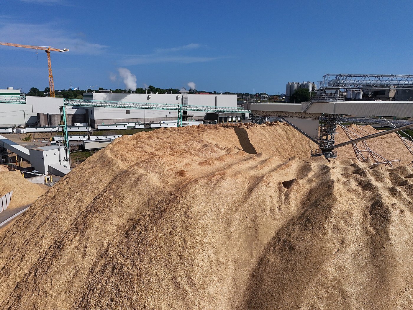 A wood-chip stockpile beside a pulp mill