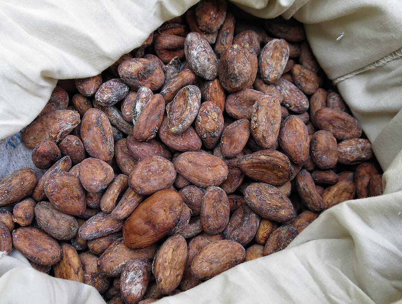 Cocoa beans — Soft commodity