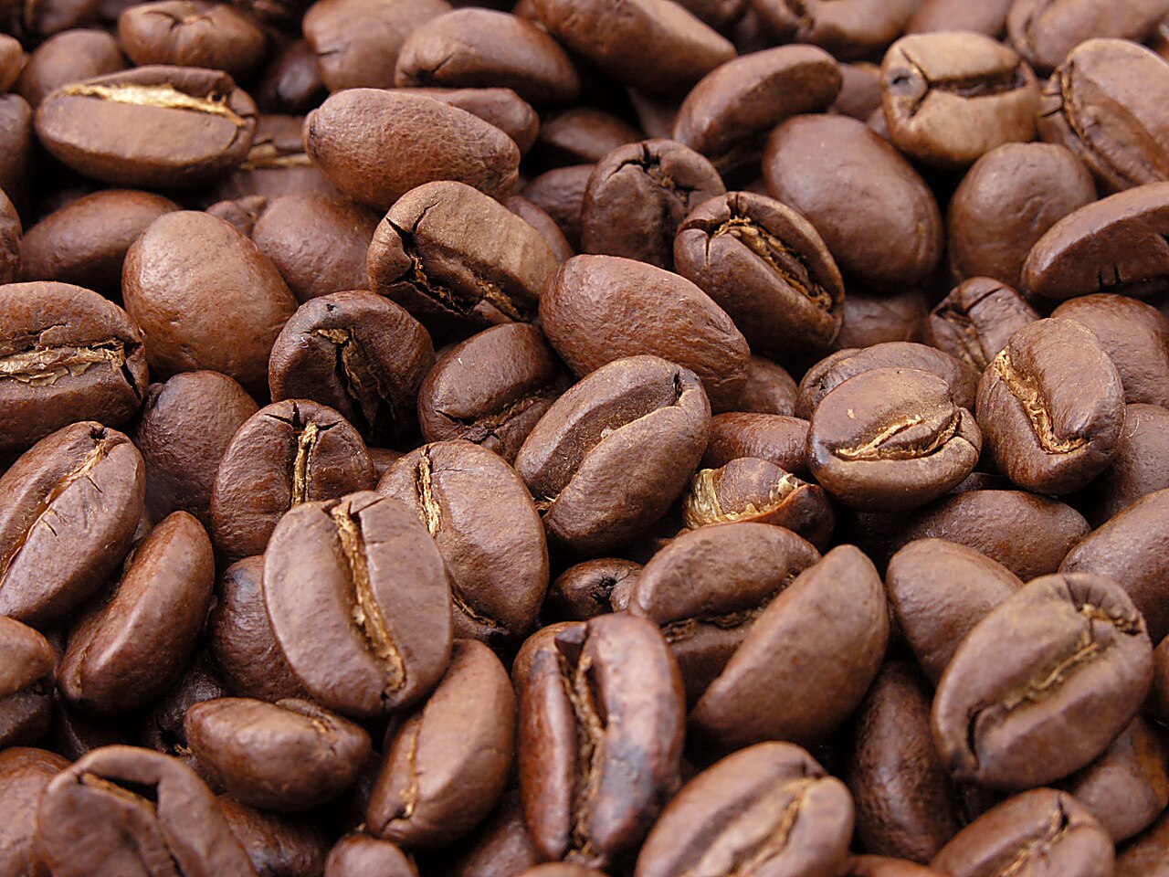 Coffee beans — Soft commodity