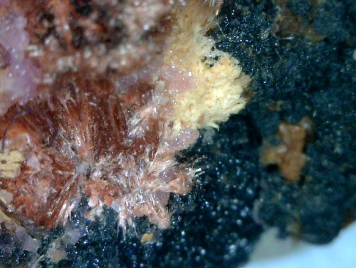 Heterogenite specimen