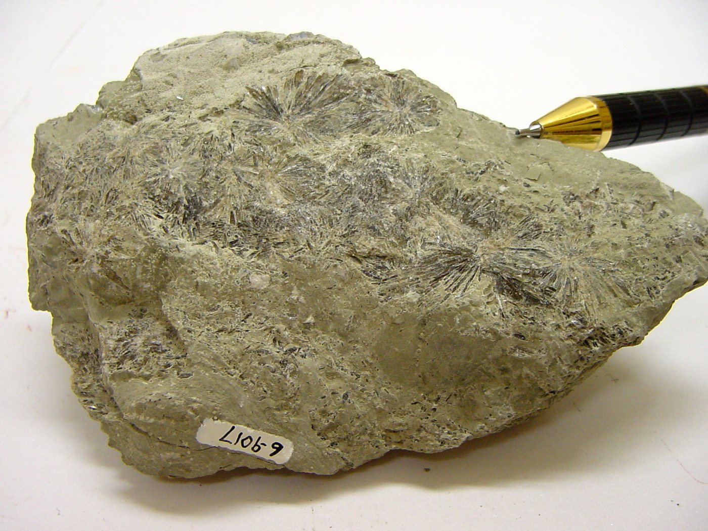 Soda Ash