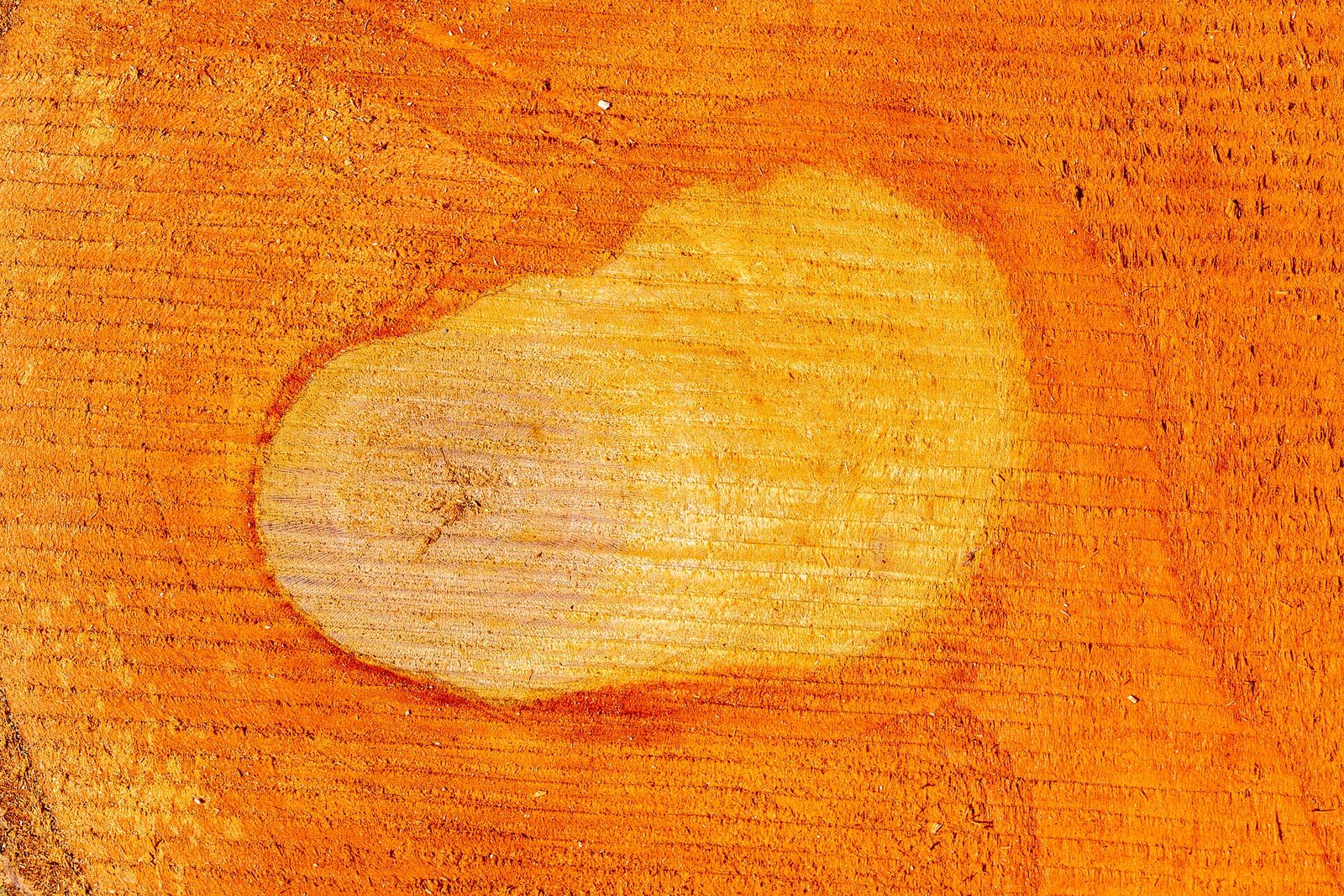 The sawn face of a hardwood board, showing grain and figure