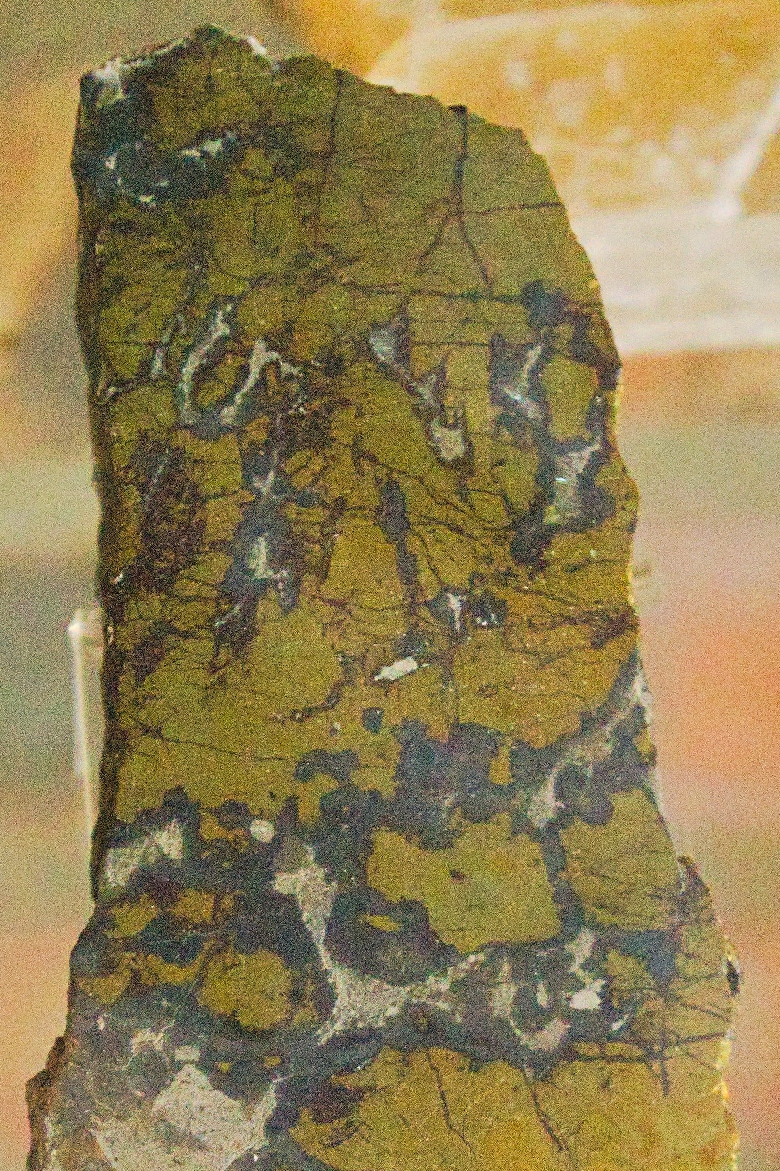 Bornite