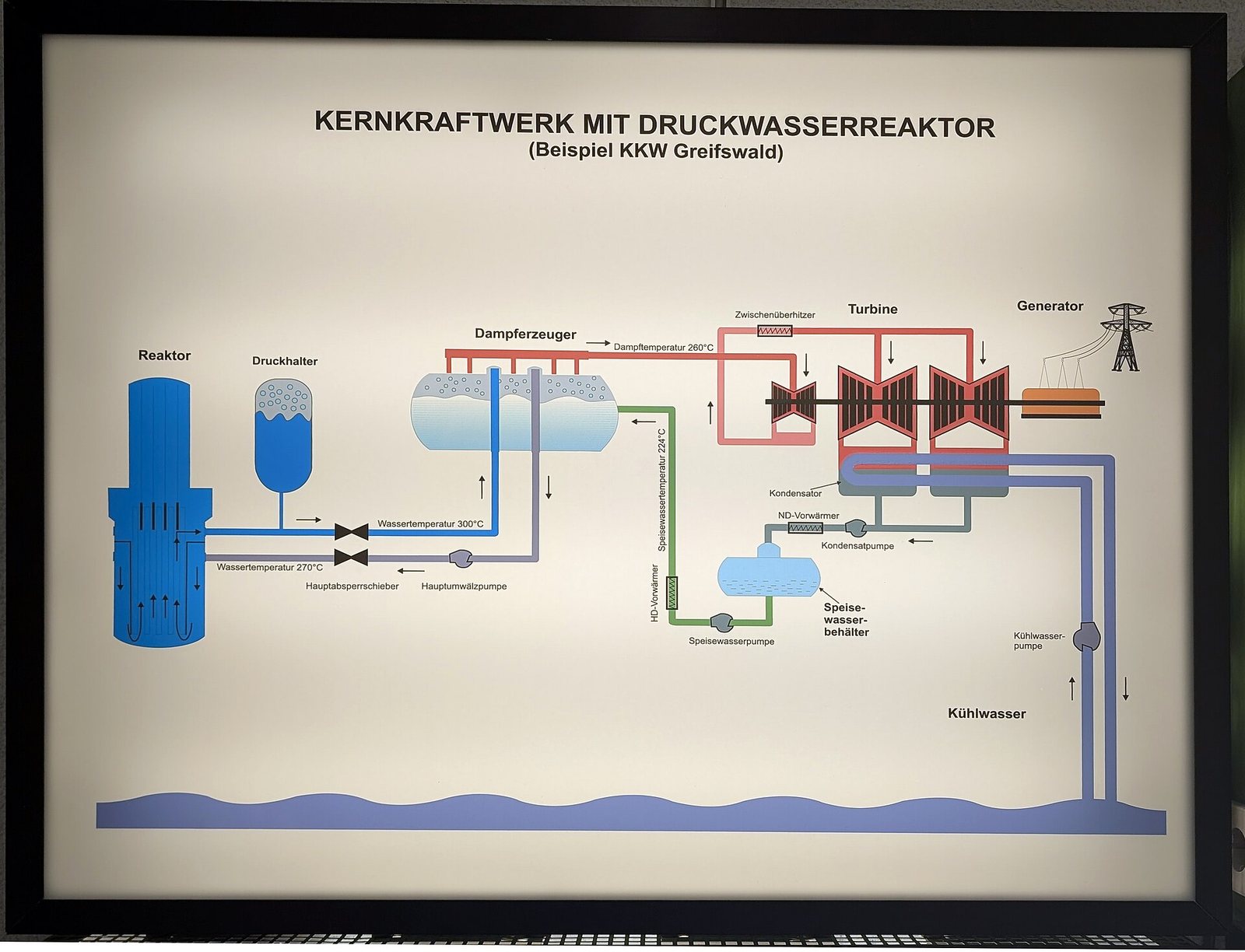 Pressurised Water Reactor