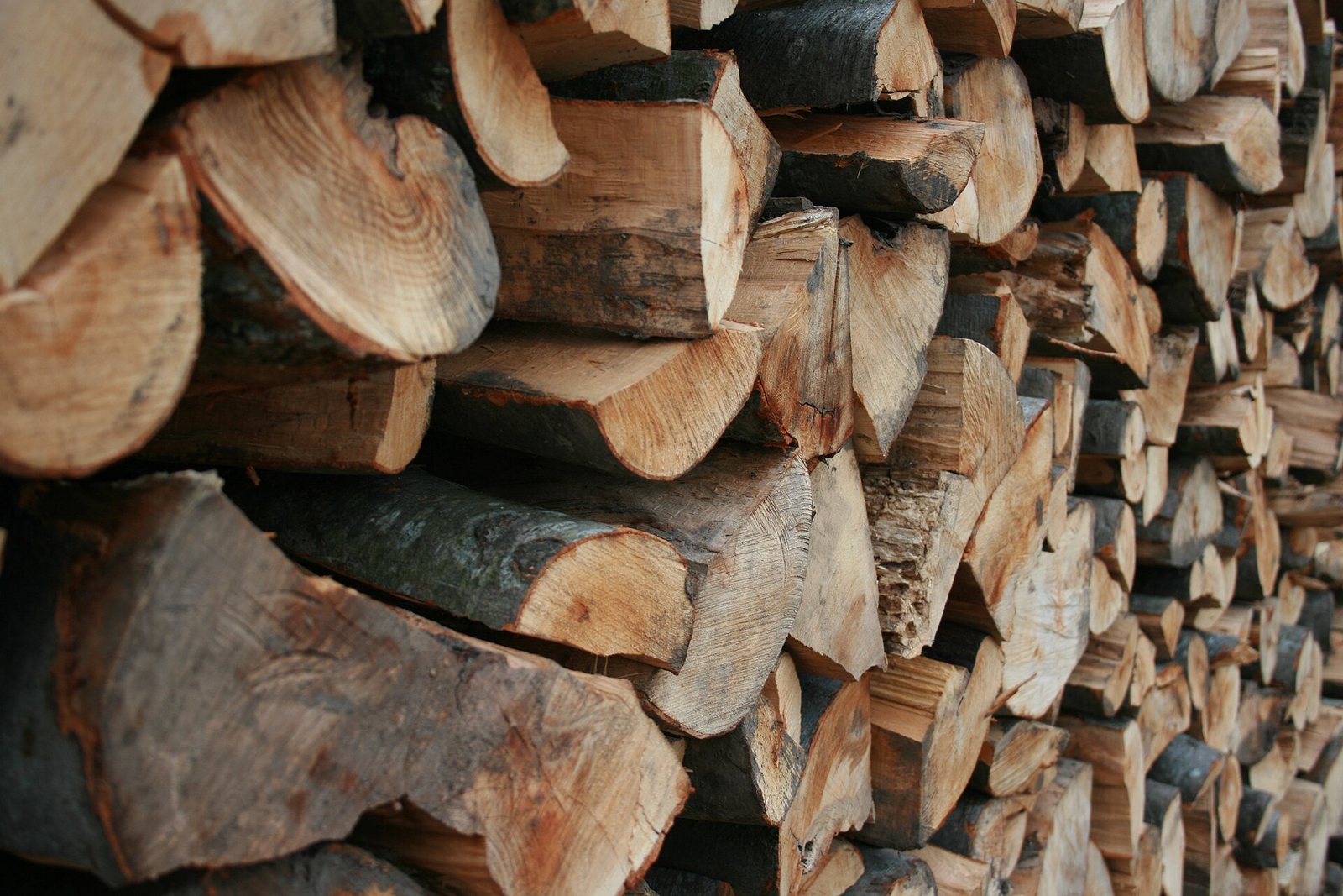 Wood Fuel
