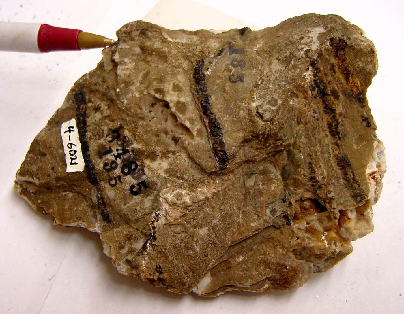 Chromite specimen