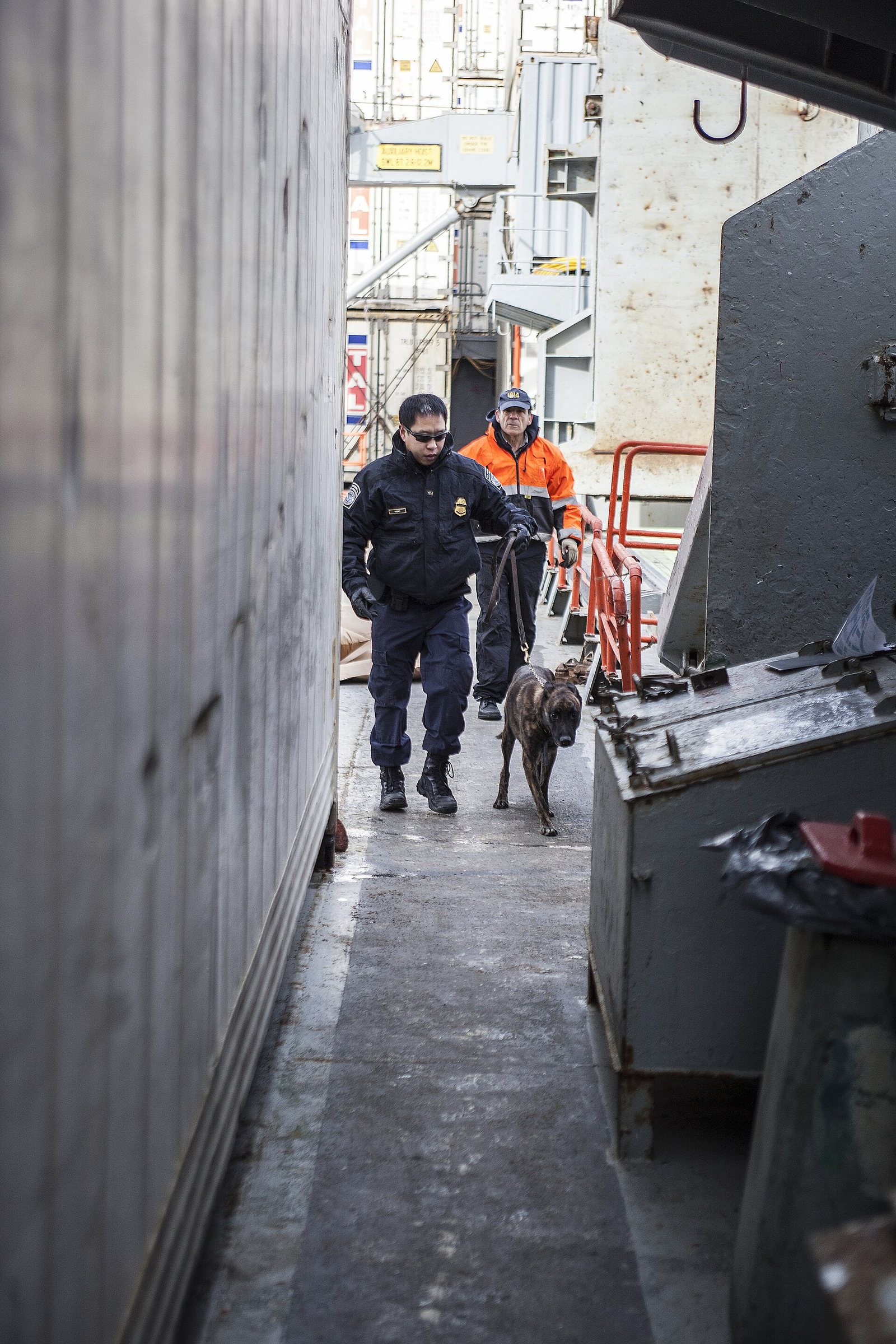 Export controls and resource nationalism