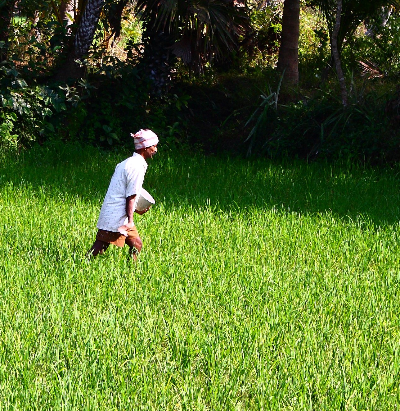 Agriculture & Food