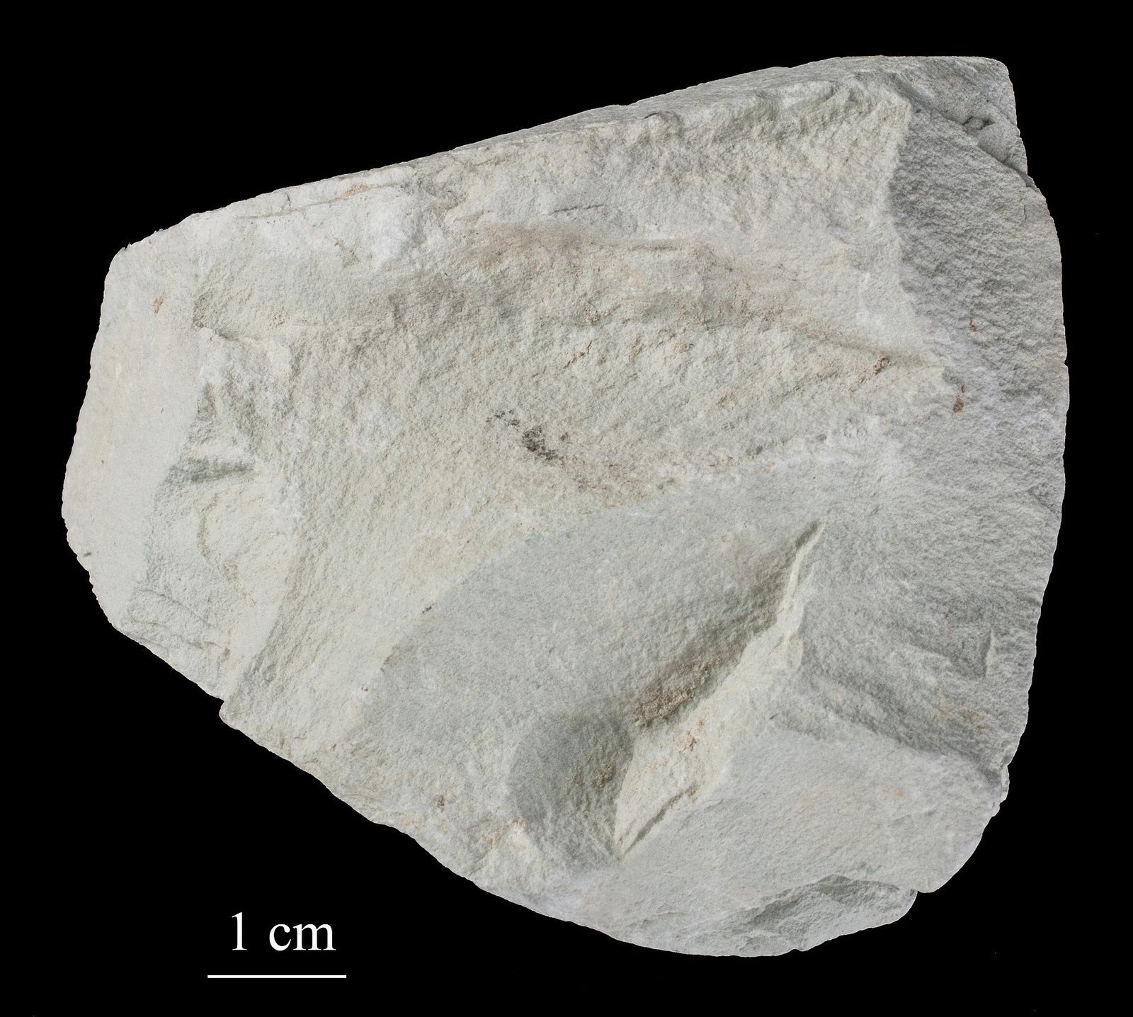 Zeolites (Natural)
