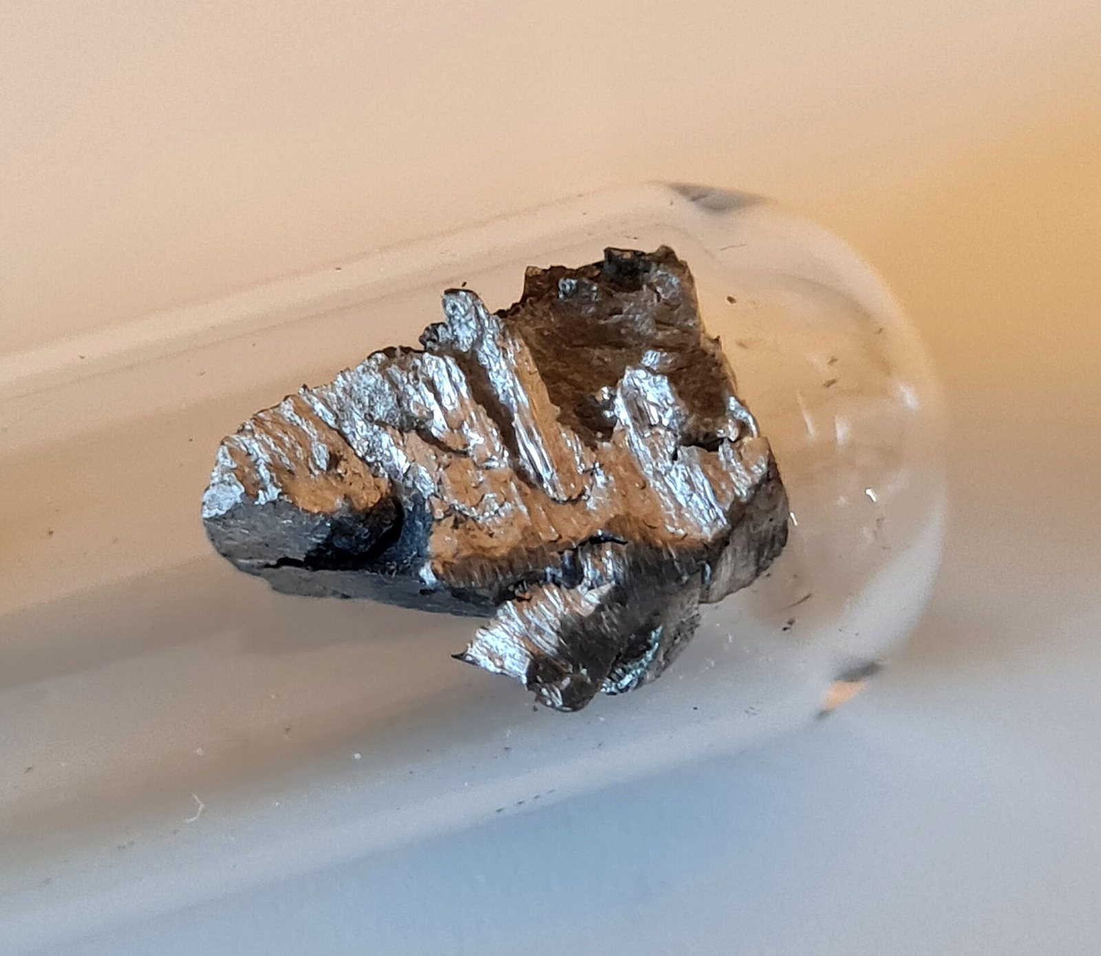 Rare Earth Elements