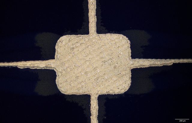 Crystalline Silicon Solar Module