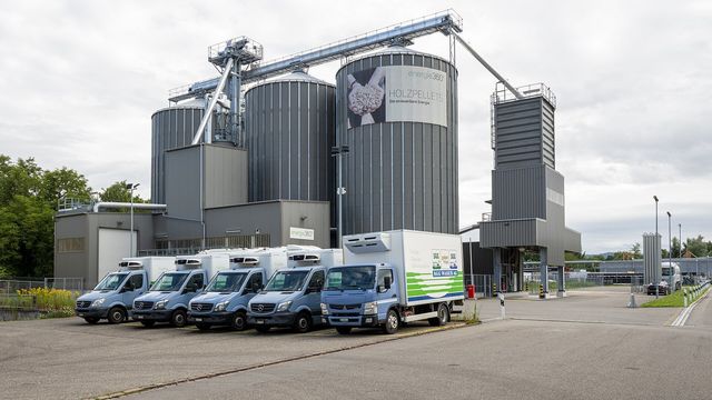 Bulk wood pellets in a storage facility