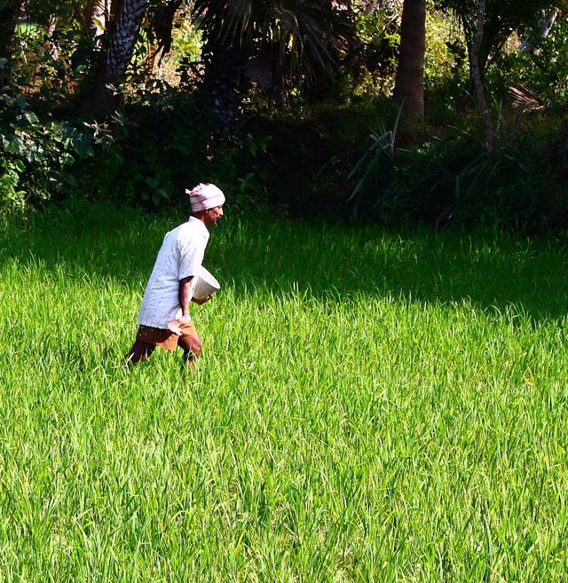 Agriculture & Food